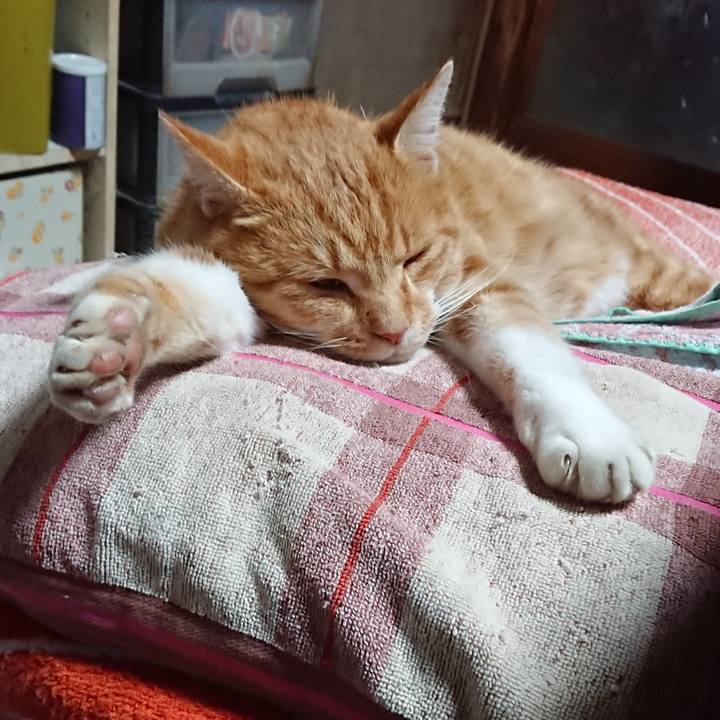 Beba6dcd 6ea8 4798 9955 0f8f31b3d116 1605936567808