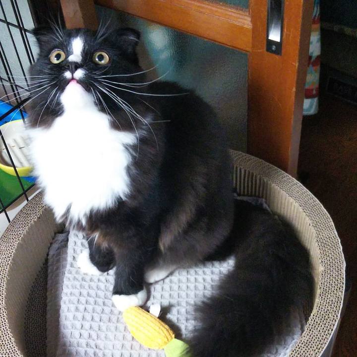 Beba7376 d0d6 4d1b 8da5 4264d56567d4 1647089542572