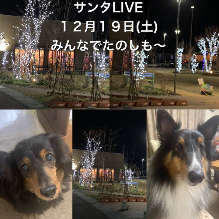 Bebaa478 5989 47ca a769 36959ba8cf8a 1607689322850