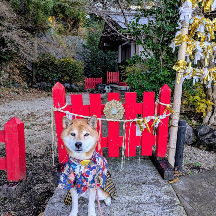 Bebacd7a 900e 4764 b2a8 167373df45fb 1766118270937