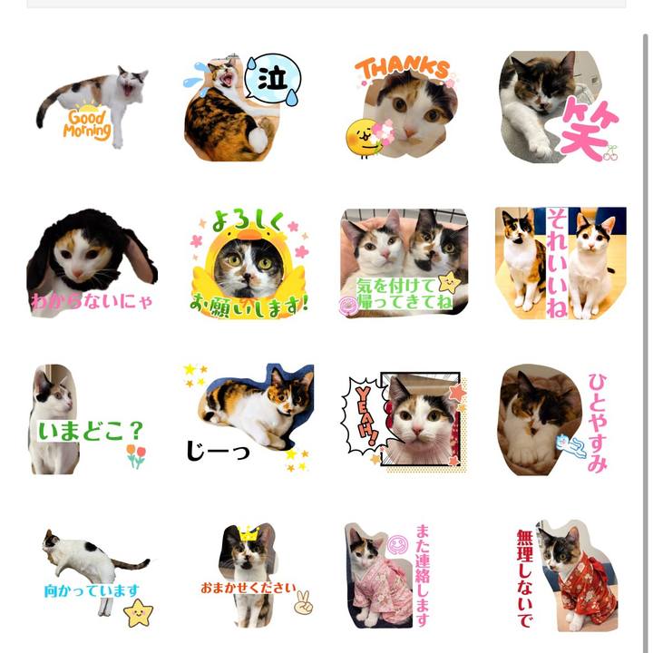 Bebaeeb2 c5f9 49ce a9a4 fb4e82b73873 1774648395132