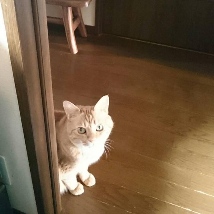 Bebaef19 2fd7 423f b00d 996f18042e92 1524889420949