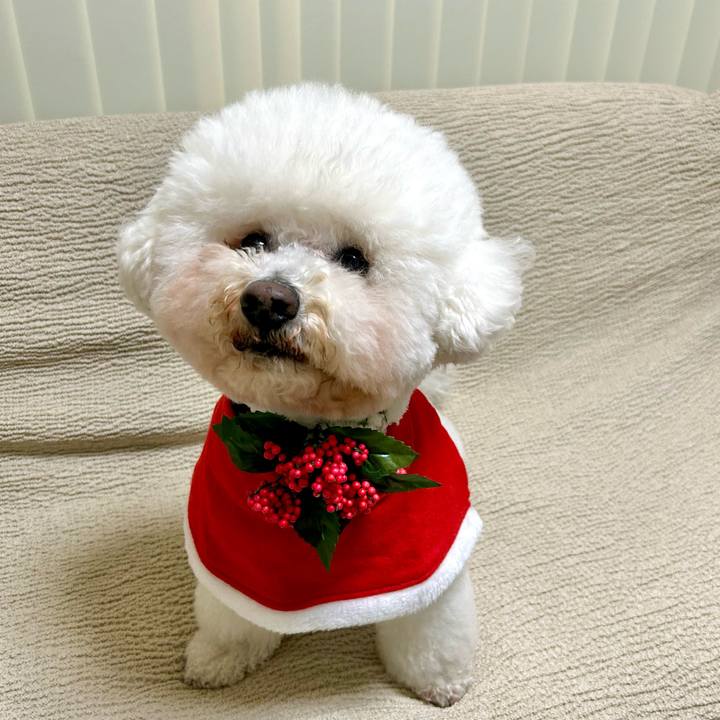 Bebaf43d 4d6a 4107 aab1 0919d39a0be5 1766531228489