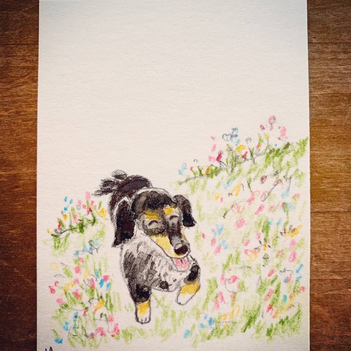 Bebb0f10 1486 4e78 ba2d 132b98590489 1613177123858