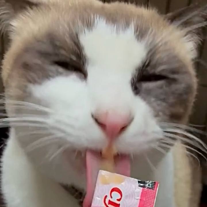 Bebb2d29 192b 4fe4 82d1 6b016b14f4f0 1765621695978