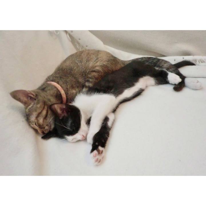 Bebb3790 5b02 4aba 9317 95d826ab1e62 1622670551194