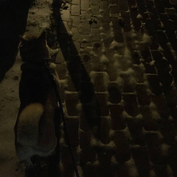 Bebb3896 53c9 4300 b6d0 eefa70337e76 1508763133068