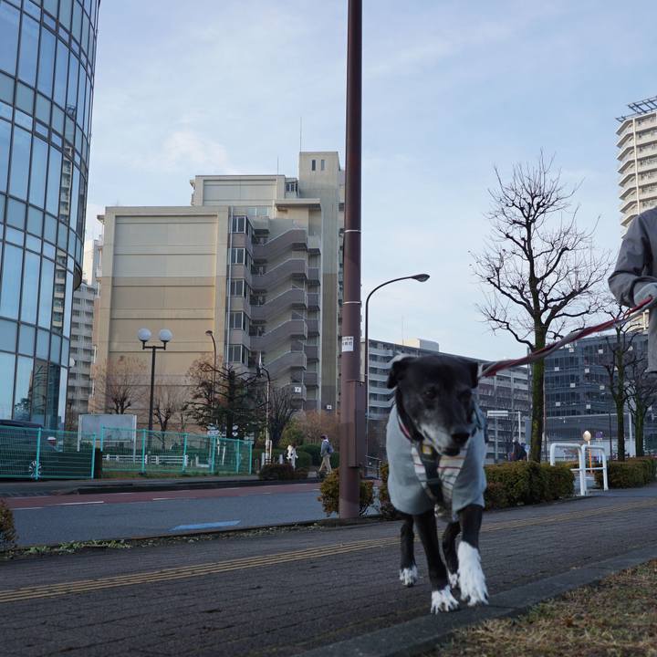 Bebb3990 a52e 4f0e bc6f c203bae11bc6 1766624035737