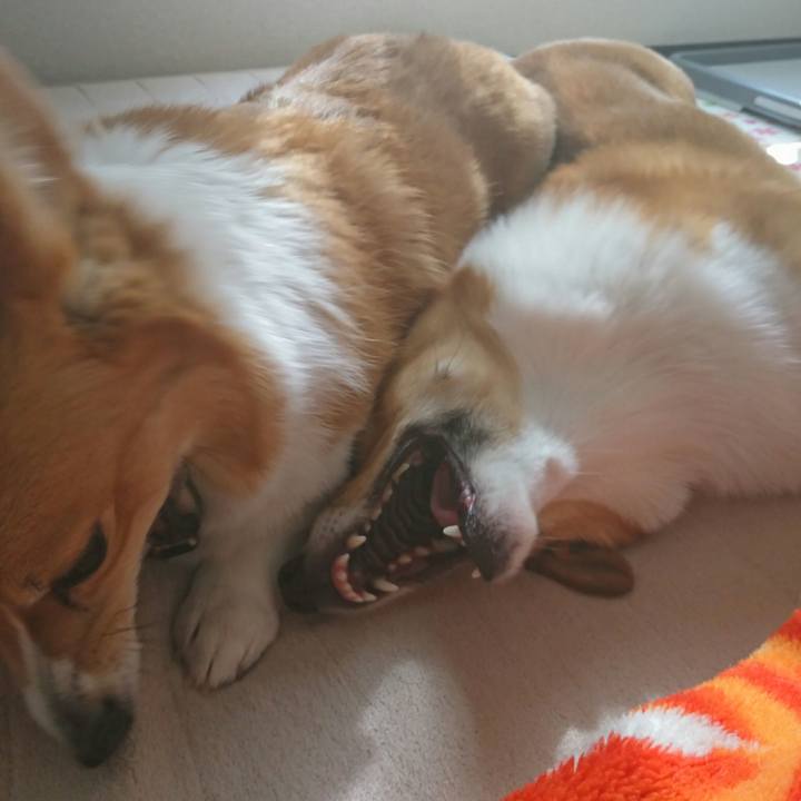 Bebb3e9a 5863 40c5 a106 1ba0de931926 1519726486134