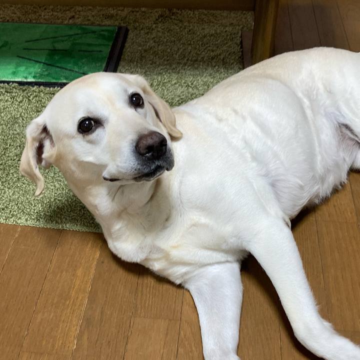 Bebb7bee e99e 4e85 be6d 0699373149e8 1751119231891