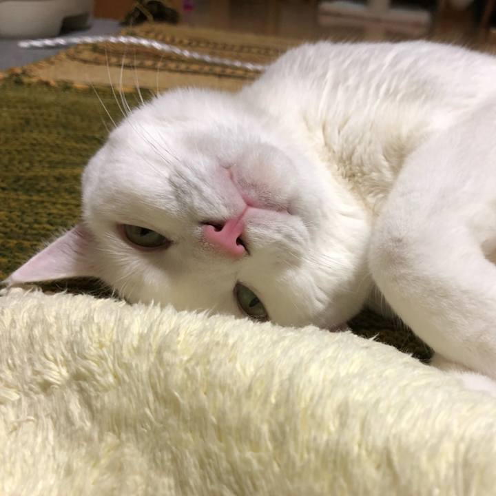 Bebb7e97 4bc6 4cd4 9ea2 9d6552c5a937 1572079777107