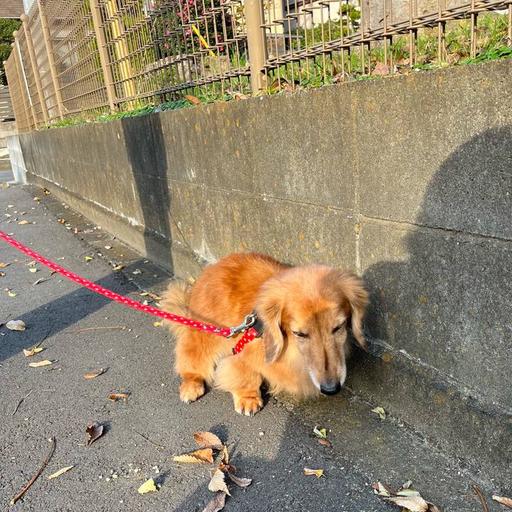 Bebb8d50 93a6 40b6 9c60 817080813e1c 1637671375108