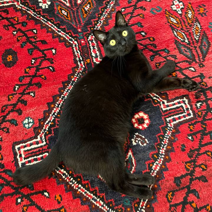 Bebbe220 31b3 463a b3a6 1271d288b293 1682035517942