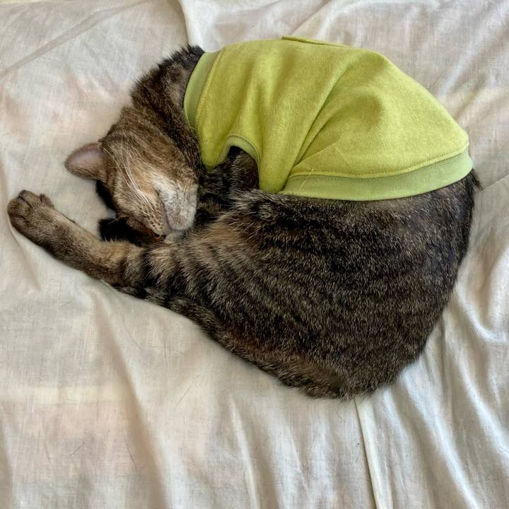 Bebbe867 e19d 45fb 8cdd b8807a071a55 1680663498697