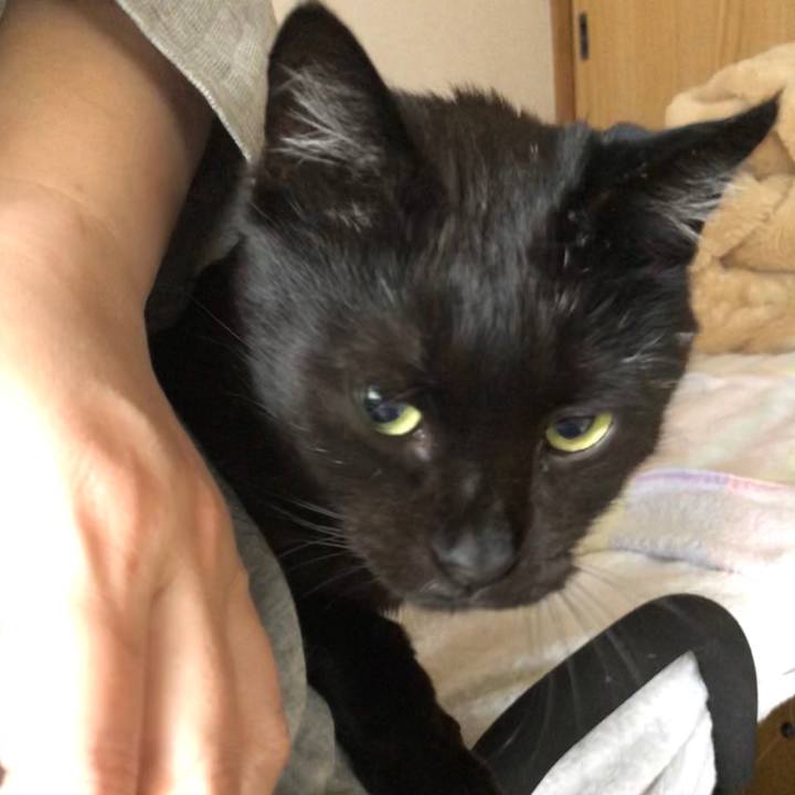 Bebbebe8 01da 497e ba80 d973c238376b 1587590586295