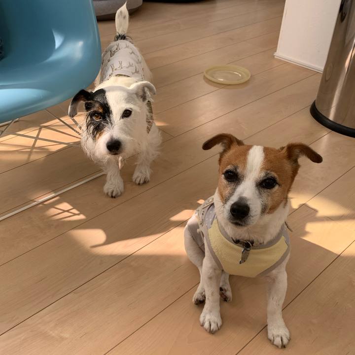 Bebc1801 970f 4757 9242 4874acf784cd 1635382872039