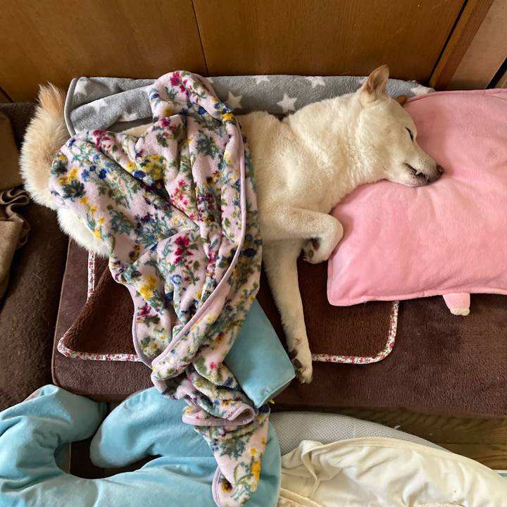 Bebc3815 0912 46d1 ad61 5368d5b1461b 1647501222142