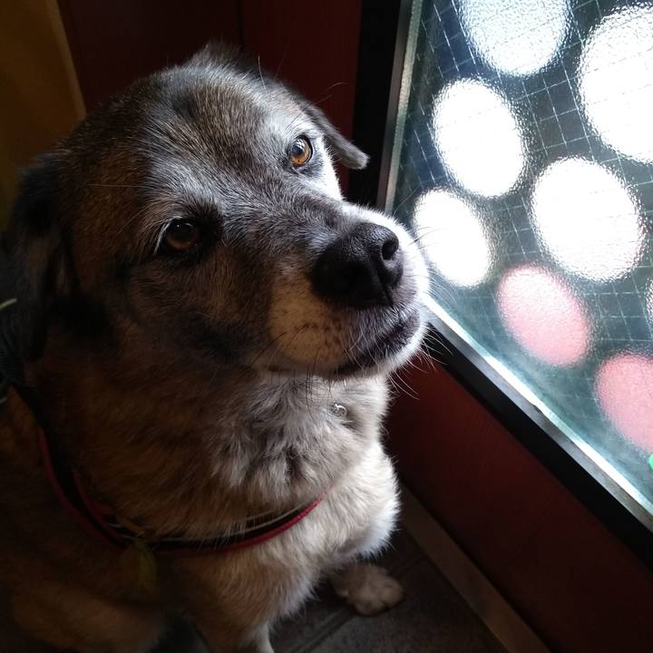 Bebc4d22 2efd 4448 9494 0bb9f22f5588 1568333033465