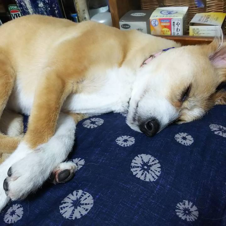 Bebc85ff a561 4e6d a16d 7f62479181f7 1551533279902