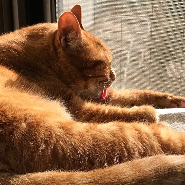 Bebc90af ba25 4742 b95e fdbd32e442ec 1512550426335