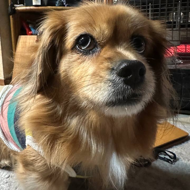 Bebc9ff7 4e63 4222 8813 38d53ecd4ba8 1704403743121