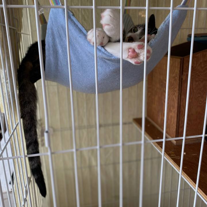 Bebca6a0 f0fc 4c9a af17 48409cb4fbea 1720585962695