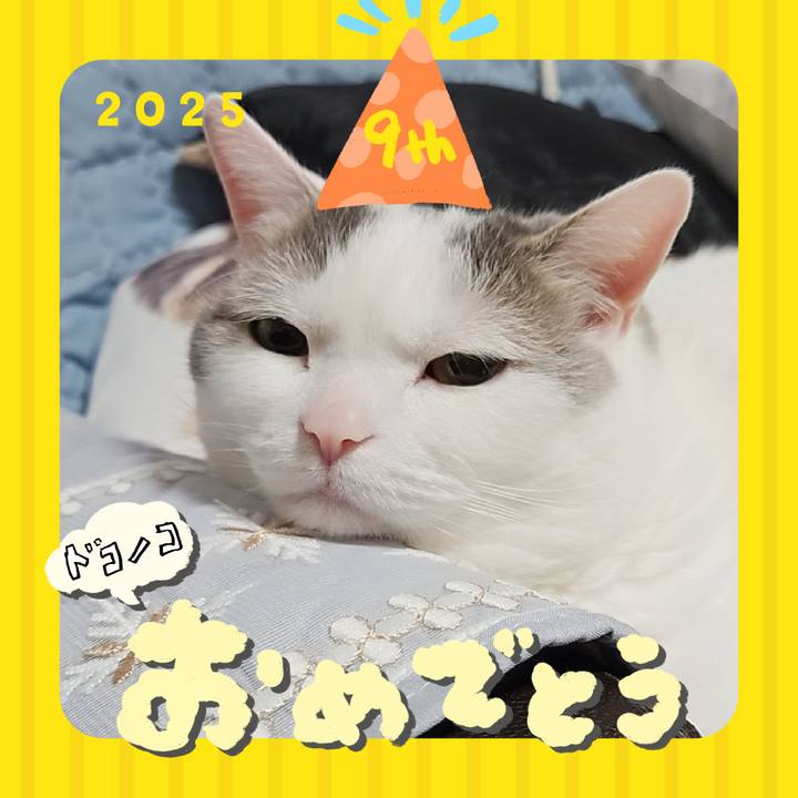 Bebcb786 1bfc 48e8 9dae 1d35a5744702 1749192651106