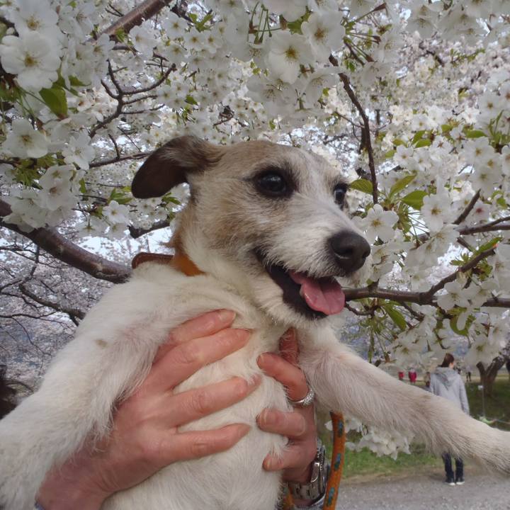 Bebd08b0 eaa8 4922 95a0 054de96d46c6 1555158606302