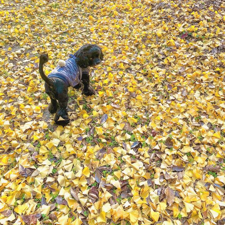 Bebe27a5 1272 4a71 984f ebea6f94dd7d 1606624146707