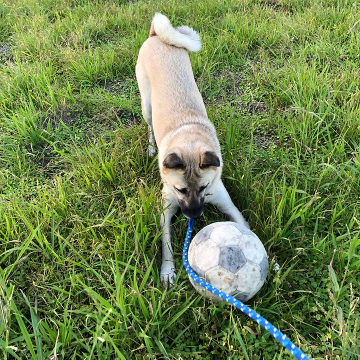 Bebe53a2 0b14 4270 9395 547fa7c26f9c 1539938018817