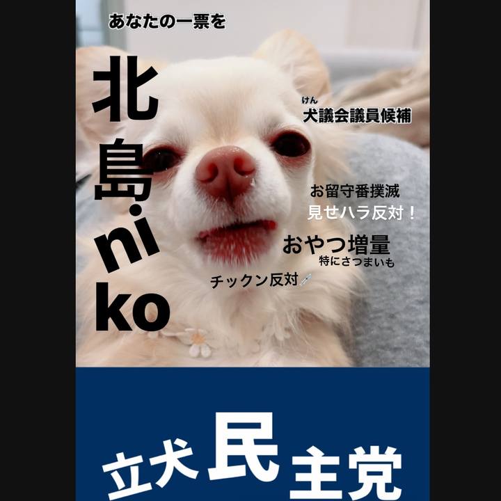 Bebe5b71 0748 4dd2 8658 979e6190ccd9 1711525901652