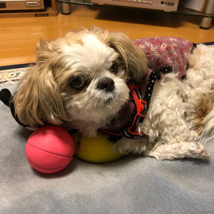 Bebe6f52 dd8b 45e5 bb2f 59db0e1ab8af 1555364471681