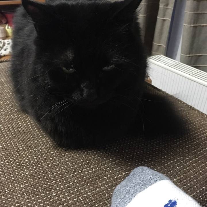 Bebec28e 4352 45e4 8f4a b1ab83c33f43 1519552813971