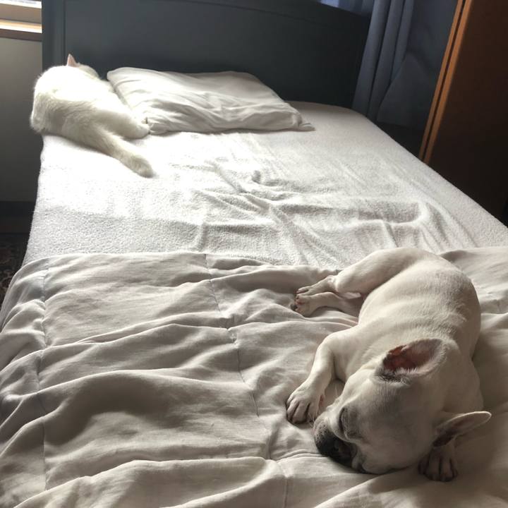 Bebed6cf 409c 4128 92c2 7741e63aa983 1625966802008