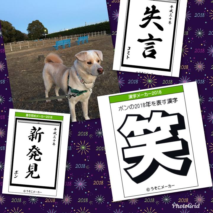 Bebee9e9 b596 418e 8f27 79bf56beb173 1514978533039