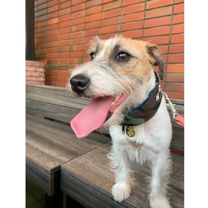 Bebf17de 35da 4bd4 b179 60afda06c316 1597147241426