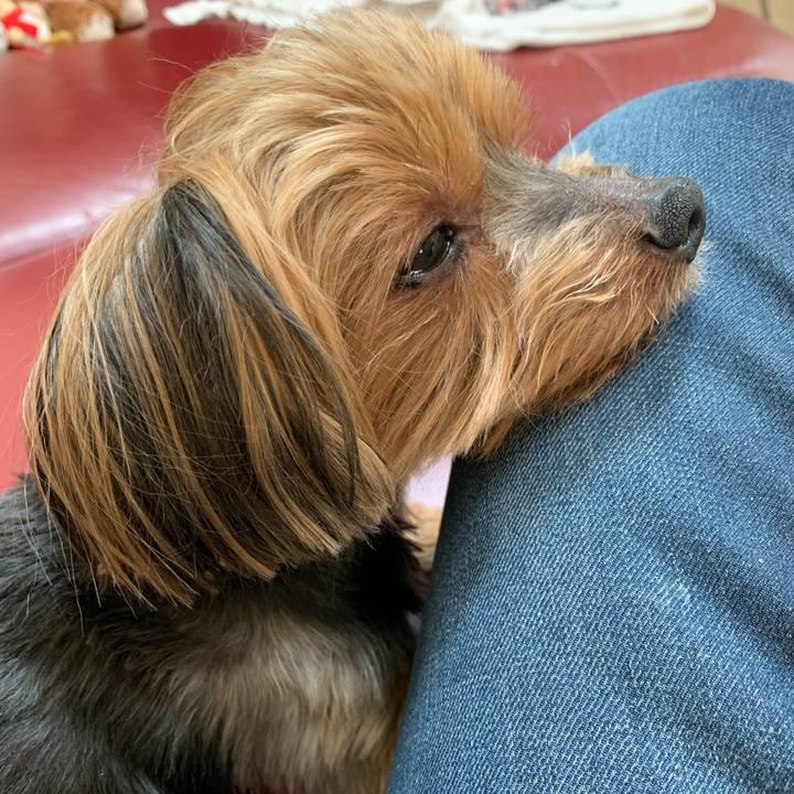 Bebf5042 1531 4a01 a2c7 b1549417e20b 1586778668508