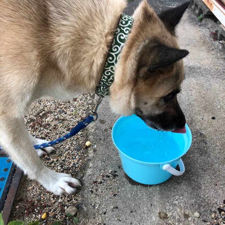 Bebf5c28 ca0b 4fd6 a84b db883271af29 1596540985677