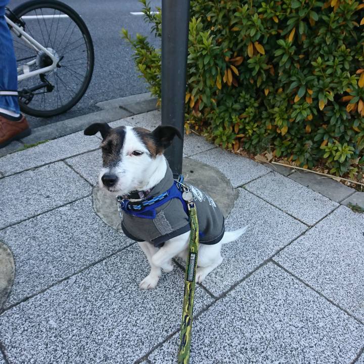 Bebf7431 e9cb 4e29 affb 17f247c11756 1515192741773