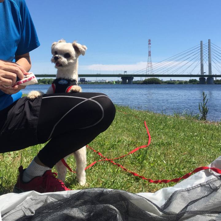 Bebf872e 46f9 4a0d b069 2c51597be12f 1526802933602