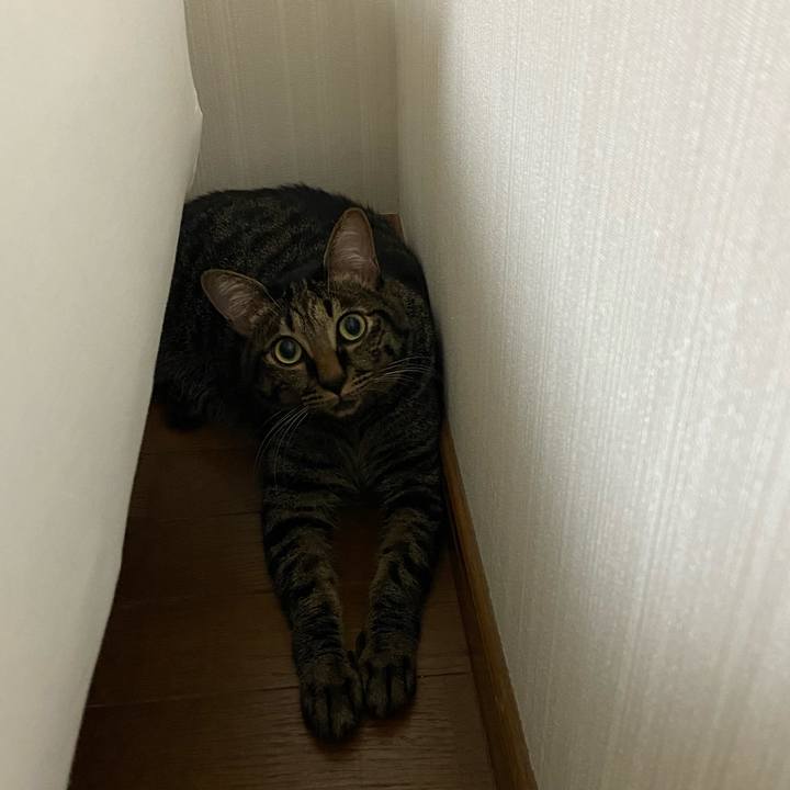 Bebf9ee5 e3a2 4635 8b85 045e33294dd5 1661255160477