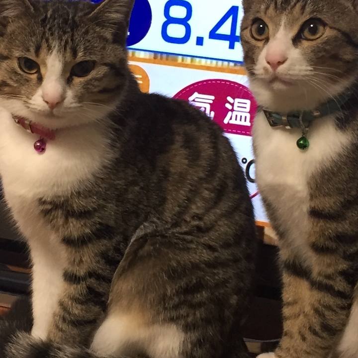 Bebfa4de a93a 497d bea0 9e0a5239ff38 1661556180459