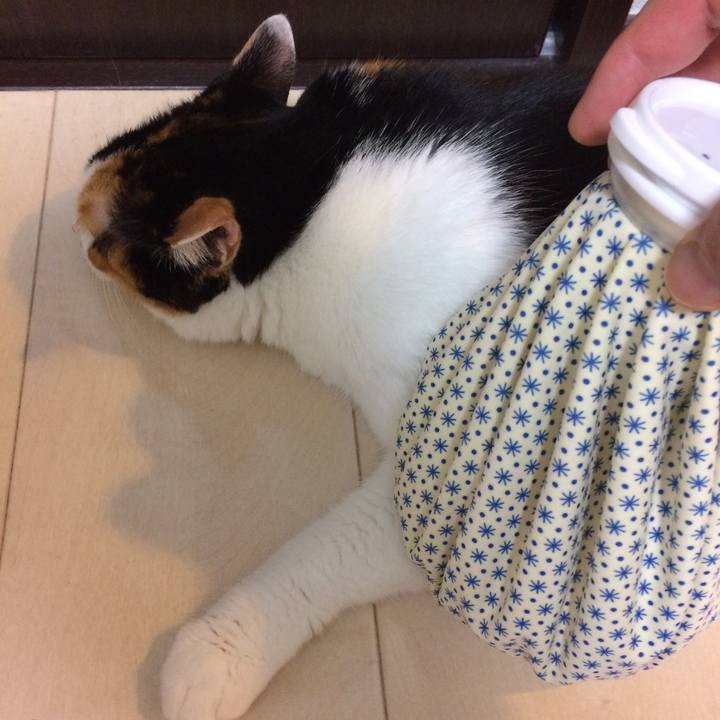 Bebfaf8d b9e5 48c6 b4f2 3f71fa118381 1597064817238