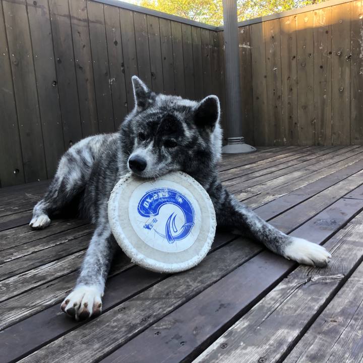 Bebfb78b 4eb3 425b b16c f0f3f77b83d0 1600726703045