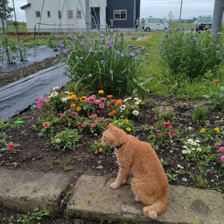 Bebfdde4 cd43 4f5d b442 c2bba5f816e7 1686610749603