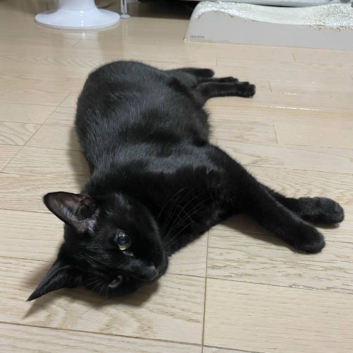 Bec00e8e 393a 4867 99c4 c4fa425fe60f 1759835753795