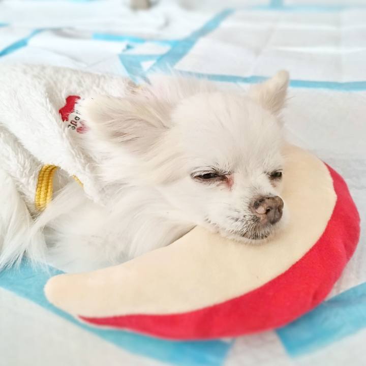 Bec01e82 e58e 4f47 9c6d d74b59f6861d 1687663326689