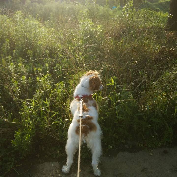 Bec0209e ba8f 41a8 ab91 0a728f13d59c 1529582074746