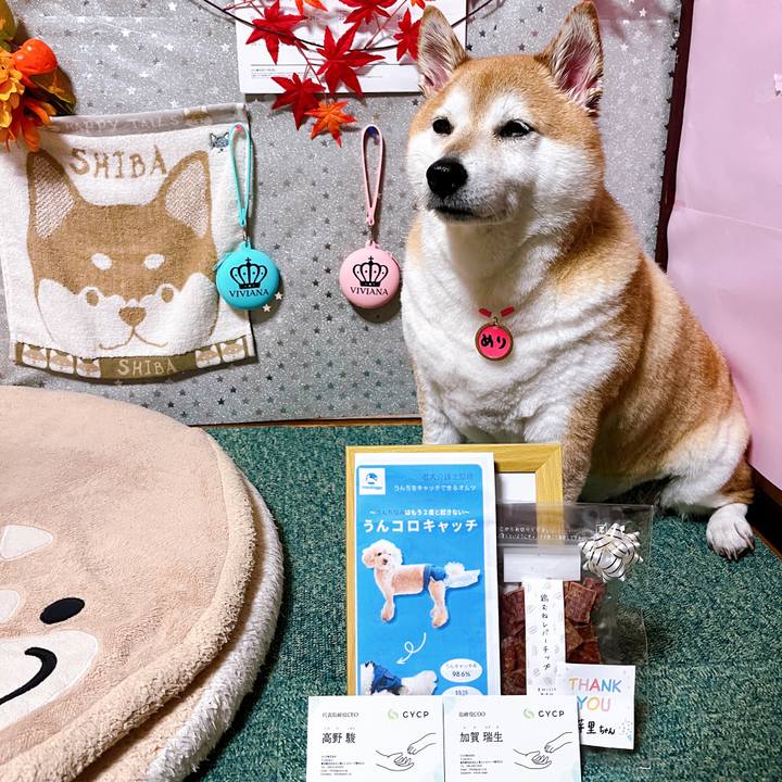 Bec02cc9 cf0f 4b2e 855a f158542fad49 1699369236977