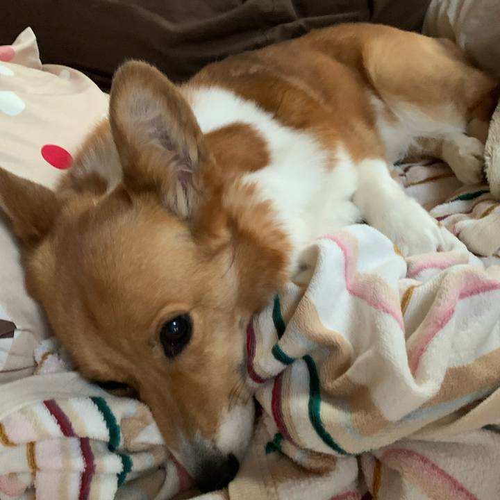 Bec051ab f17c 4b2c b41d b94303bdb845 1654472879209